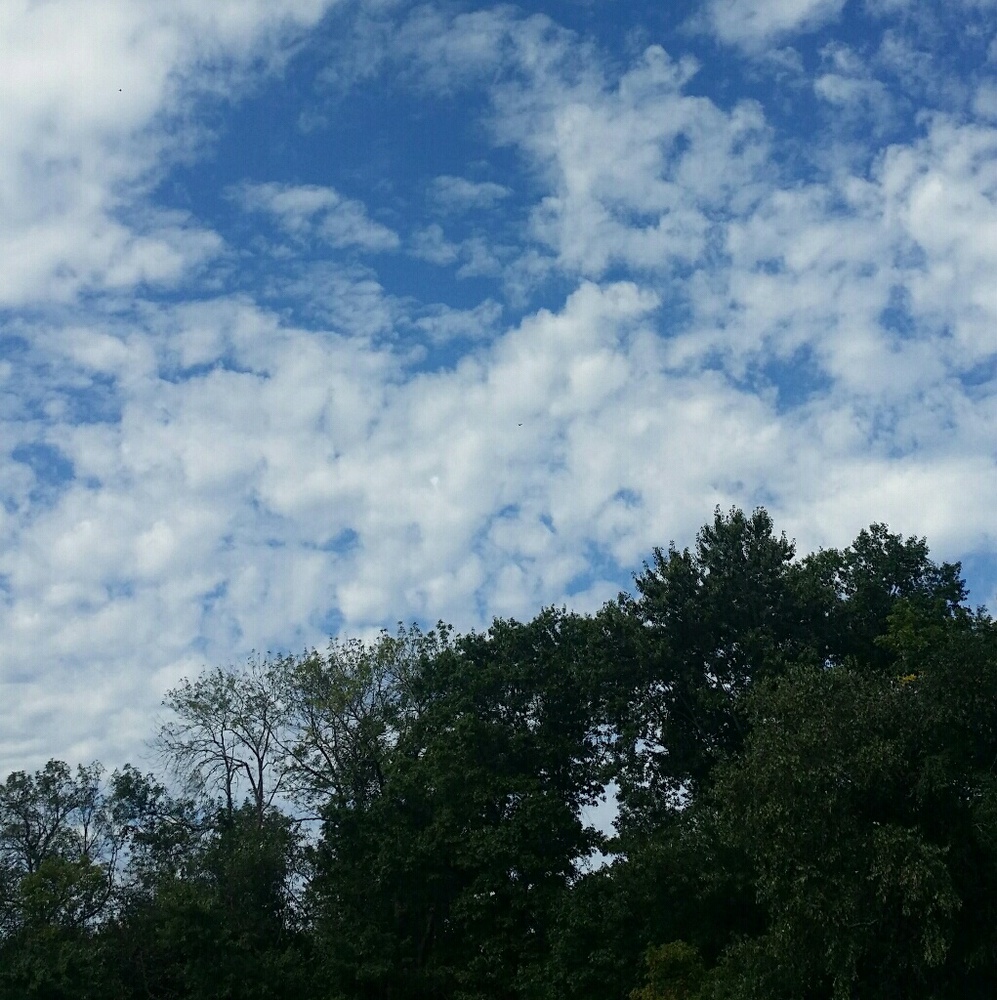 Meet your Posher, Anna-lyn